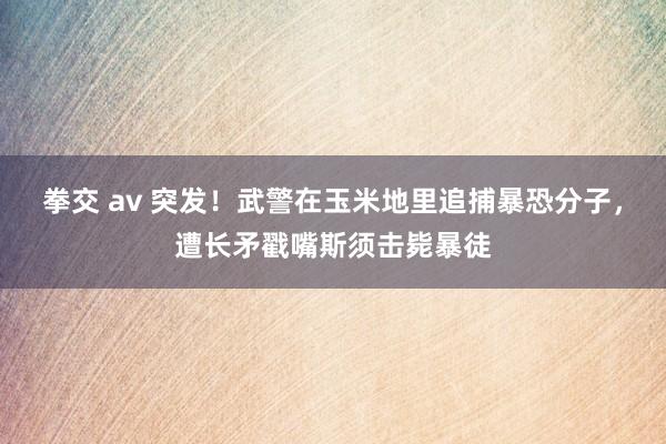 拳交 av 突发！武警在玉米地里追捕暴恐分子，遭长矛戳嘴斯须击毙暴徒