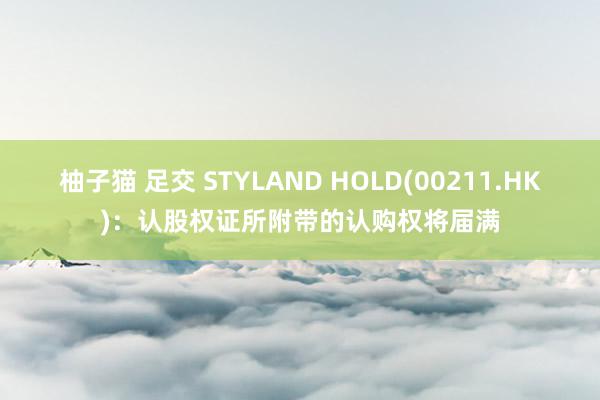 柚子猫 足交 STYLAND HOLD(00211.HK)：认股权证所附带的认购权将届满