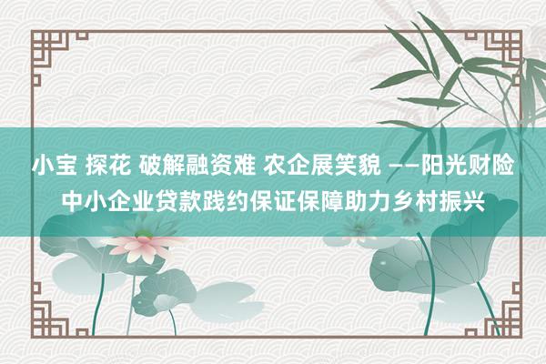 小宝 探花 破解融资难 农企展笑貌 ——阳光财险中小企业贷款践约保证保障助力乡村振兴