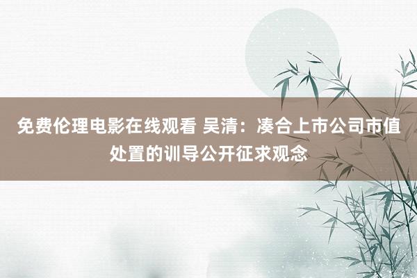 免费伦理电影在线观看 吴清：凑合上市公司市值处置的训导公开征求观念