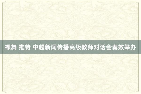 裸舞 推特 中越新闻传播高级教师对话会奏效举办