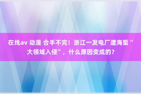 在线av 动漫 合手不完！浙江一发电厂遭海蜇“大领域入侵”，什么原因变成的？