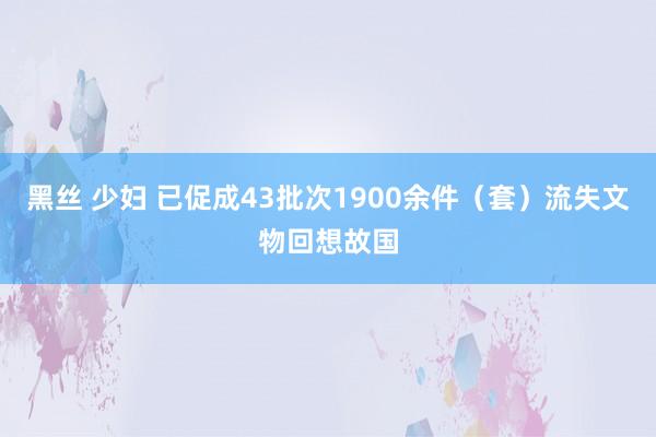 黑丝 少妇 已促成43批次1900余件（套）流失文物回想故国