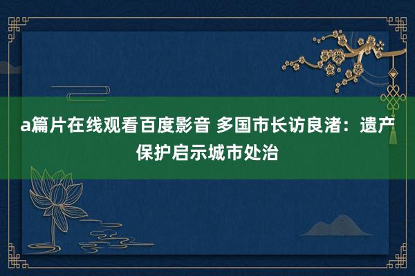 a篇片在线观看百度影音 多国市长访良渚：遗产保护启示城市处治