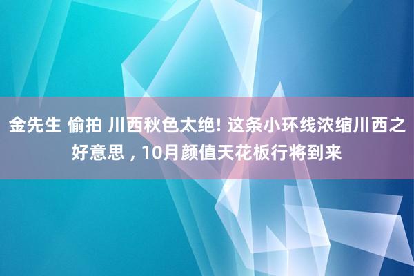 金先生 偷拍 川西秋色太绝! 这条小环线浓缩川西之好意思 , 10月颜值天花板行将到来