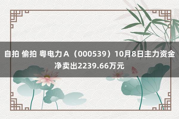 自拍 偷拍 粤电力Ａ（000539）10月8日主力资金净卖出2239.66万元