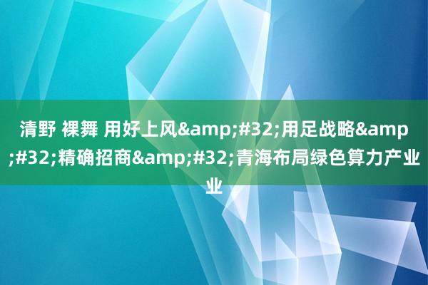 清野 裸舞 用好上风&#32;用足战略&#32;精确招商&#32;青海布局绿色算力产业