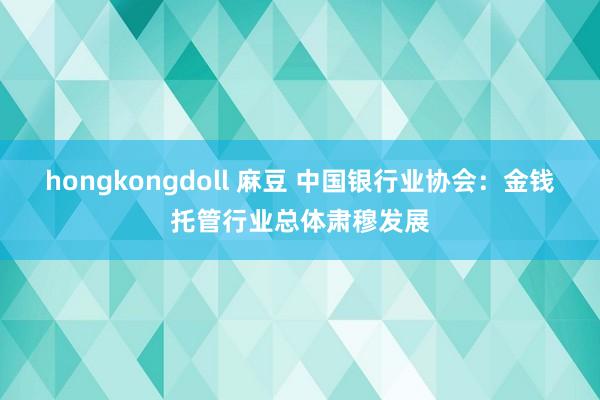 hongkongdoll 麻豆 中国银行业协会：金钱托管行业总体肃穆发展