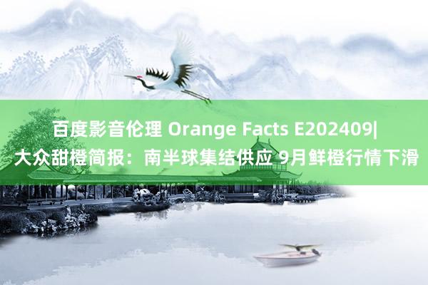 百度影音伦理 Orange Facts E202409| 大众甜橙简报：南半球集结供应 9月鲜橙行情下滑