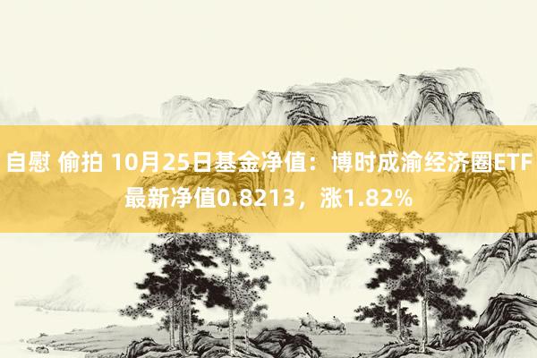 自慰 偷拍 10月25日基金净值：博时成渝经济圈ETF最新净值0.8213，涨1.82%