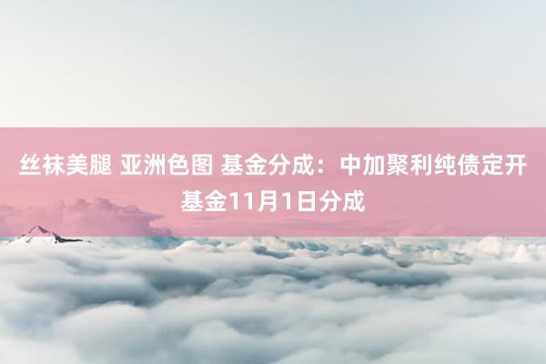 丝袜美腿 亚洲色图 基金分成：中加聚利纯债定开基金11月1日分成