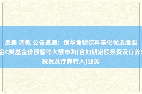 反差 调教 公告速递：银华食物饮料量化优选股票发起式基金C类基金份额暂停大额申购(含如期定额投资及疗养转入)业务