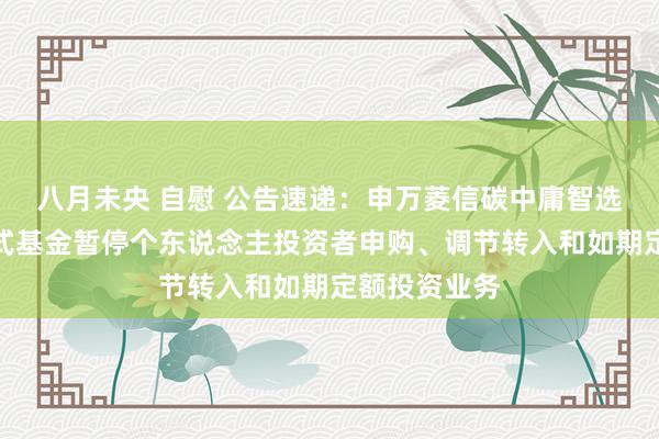 八月未央 自慰 公告速递：申万菱信碳中庸智选混杂型发起式基金暂停个东说念主投资者申购、调节转入和如期定额投资业务