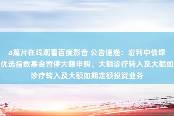 a篇片在线观看百度影音 公告速递：宏利中债绿色普惠金融债券优选指数基金暂停大额申购、大额诊疗转入及大额如期定额投资业务