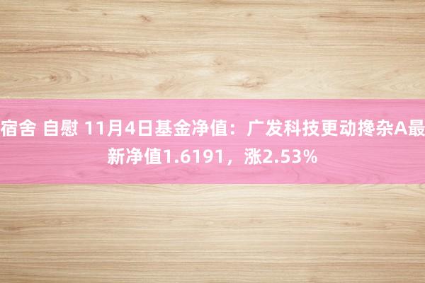 宿舍 自慰 11月4日基金净值：广发科技更动搀杂A最新净值1.6191，涨2.53%