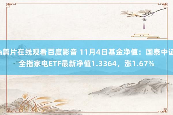 a篇片在线观看百度影音 11月4日基金净值：国泰中证全指家电ETF最新净值1.3364，涨1.67%