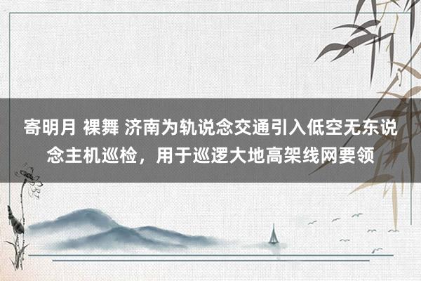 寄明月 裸舞 济南为轨说念交通引入低空无东说念主机巡检，用于巡逻大地高架线网要领