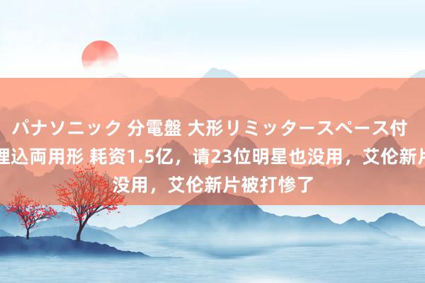 パナソニック 分電盤 大形リミッタースペース付 露出・半埋込両用形 耗资1.5亿，请23位明星也没用，艾伦新片被打惨了