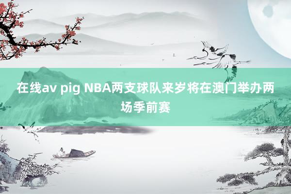 在线av pig NBA两支球队来岁将在澳门举办两场季前赛