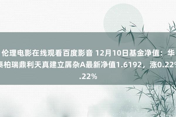 伦理电影在线观看百度影音 12月10日基金净值：华泰柏瑞鼎利天真建立羼杂A最新净值1.6192，涨0.22%