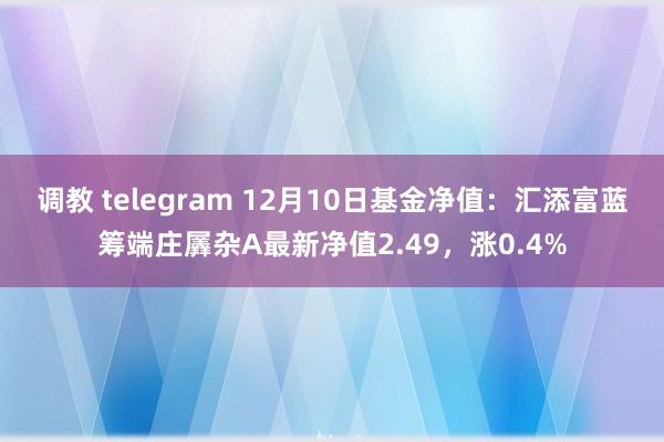 调教 telegram 12月10日基金净值：汇添富蓝筹端庄羼杂A最新净值2.49，涨0.4%