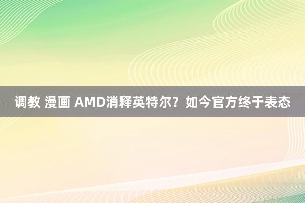 调教 漫画 AMD消释英特尔？如今官方终于表态