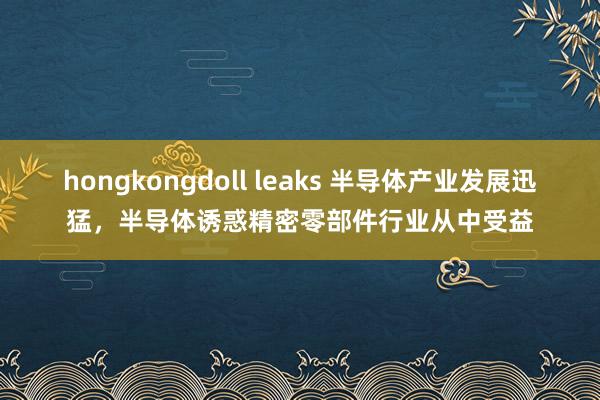 hongkongdoll leaks 半导体产业发展迅猛，半导体诱惑精密零部件行业从中受益