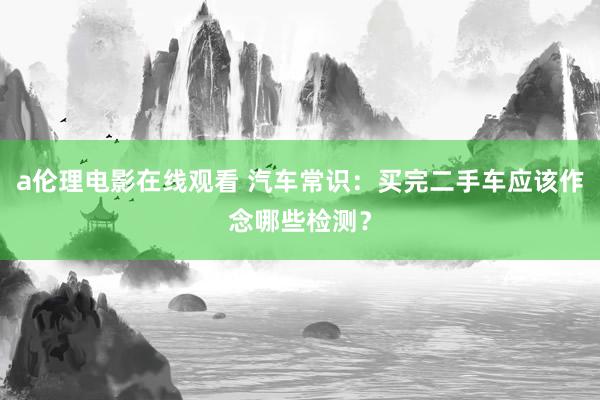 a伦理电影在线观看 汽车常识：买完二手车应该作念哪些检测？