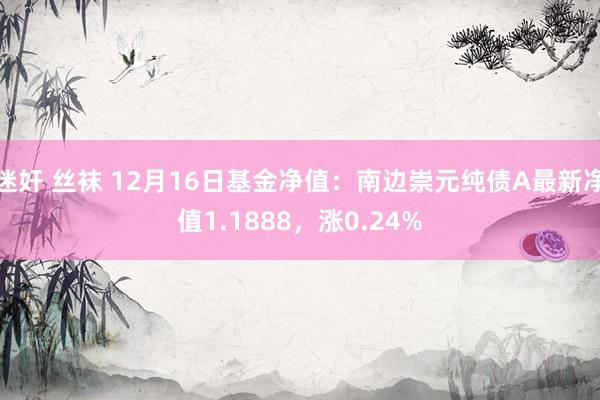 迷奸 丝袜 12月16日基金净值：南边崇元纯债A最新净值1.1888，涨0.24%