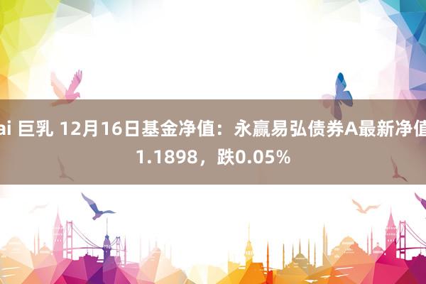 ai 巨乳 12月16日基金净值：永赢易弘债券A最新净值1.1898，跌0.05%