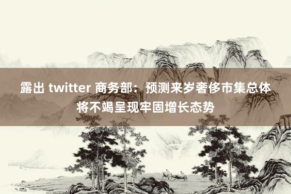 露出 twitter 商务部：预测来岁奢侈市集总体将不竭呈现牢固增长态势