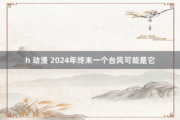 h 动漫 2024年终末一个台风可能是它