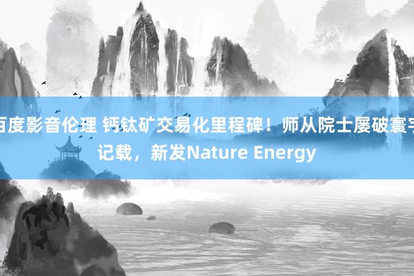 百度影音伦理 钙钛矿交易化里程碑！师从院士屡破寰宇记载，新发Nature Energy