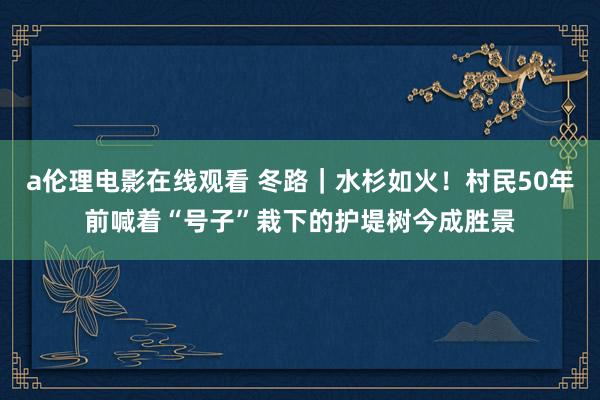 a伦理电影在线观看 冬路｜水杉如火！村民50年前喊着“号子”栽下的护堤树今成胜景