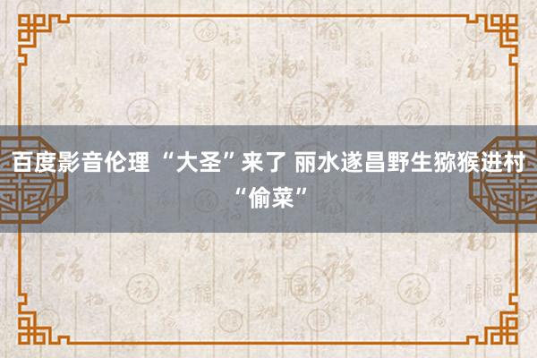 百度影音伦理 “大圣”来了 丽水遂昌野生猕猴进村“偷菜”