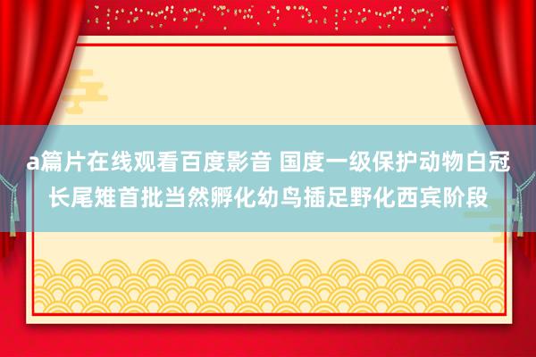 a篇片在线观看百度影音 国度一级保护动物白冠长尾雉首批当然孵化幼鸟插足野化西宾阶段