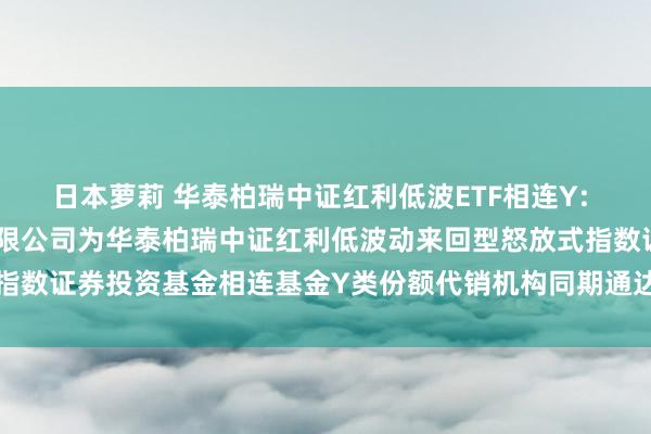 日本萝莉 华泰柏瑞中证红利低波ETF相连Y: 对于增多广发证券股份有限公司为华泰柏瑞中证红利低波动来