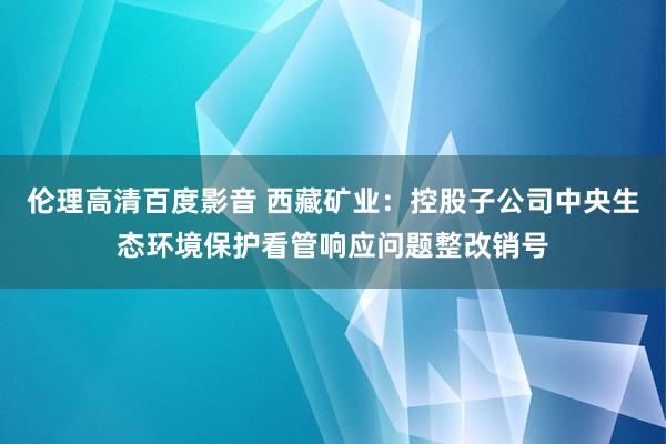 伦理高清百度影音 西藏矿业：控股子公司中央生态环境保护看管响应问题整改销号