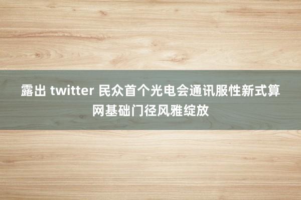 露出 twitter 民众首个光电会通讯服性新式算网基础门径风雅绽放