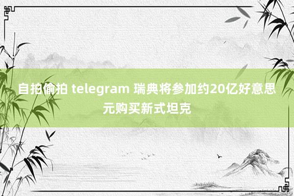 自拍偷拍 telegram 瑞典将参加约20亿好意思元购买新式坦克